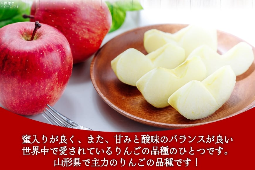 【期間限定発送】 りんご 高畠町産 サンふじ りんご 12～18玉 計 5kg[JA山形おきたま 山形県 高畠町 tk06ays870040] 果物 くだもの フルーツ 林檎 リンゴ ふじ ふじりんご 産地直送