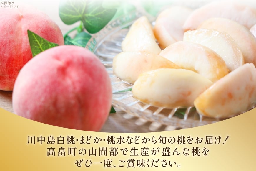【期間限定発送】 高畠町産 桃 6～10玉 3kg [JA山形おきたま 山形県 高畠町 tk06ays870044] 桃 もも モモ フルーツ くだもの 果物