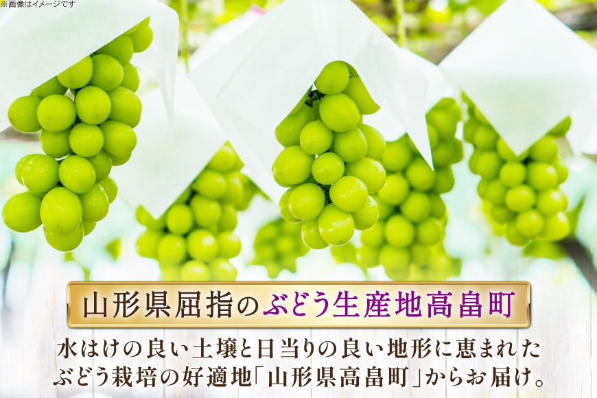 【期間限定発送】 ぶどう 2～3色 約 2kg 詰め合わせ セット [JA山形おきたま 山形県 高畠町 tk06ays870046] シャインマスカット 葡萄 セット ブドウ 巨峰 ピオーネ クイーンニーナ ゴルビー 高尾 蔵王おとめ 大粒 農家直送 朝採れ 食べ比べ 2キロ