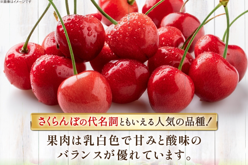 【期間限定発送】 さくらんぼ 置賜産 佐藤錦 特秀 L～2L バラ詰 1kg [JA山形おきたま 山形県 高畠町 tk06ays870047] サクランボ チェリー 山形 果物 フルーツ くだもの