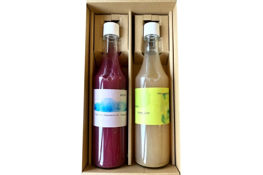 ぶどう ジュース 2種 （赤・白） 各500ml [大野農園 Rapporti 山形県 高畠町 tk06ayt050007] セット 2本 フルーツジュース 葡萄 ブドウ グレープ グレープジュース 飲み比べ 無添加