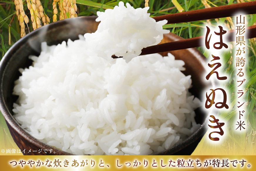 令和7年産 慣行栽培 はえぬき 5kg [田制農園 山形県 高畠町 tk06ayt230006] 精米 白米 米 お米 ブランド米 ごはん ご飯