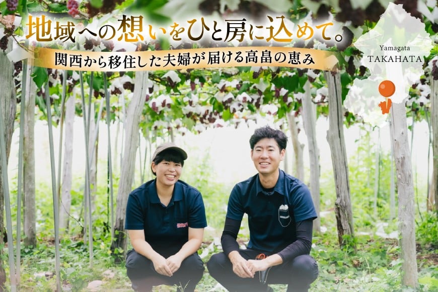 【期間限定発送】 ぶどう デラウェア 5～8房 約 1kg [いわた果樹園 山形県 高畠町 tk06ayt400003] 種無し ブドウ 葡萄 くだもの 果物 フルーツ 産地直送 農家直送