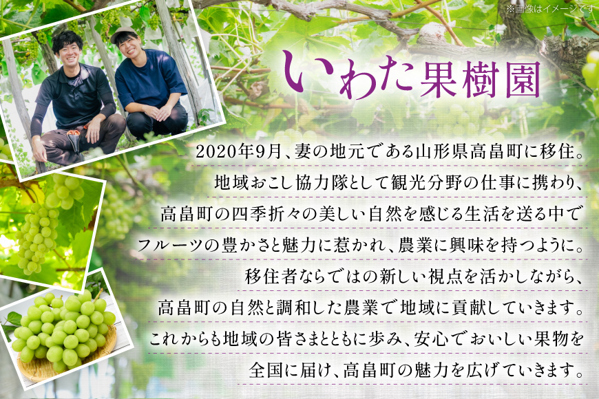 【期間限定発送】 家庭用 訳あり シャインマスカット 2～3房 約1.2kg [いわた果樹園 山形県 高畠町 tk06ayt400007] ぶどう ブドウ 葡萄 フルーツ 果物 くだもの 甘い シャイン マスカット