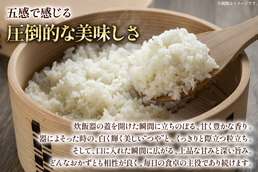 米 令和7年産 特別栽培米 つや姫 10kg (5kg×2) [本田勇仁 山形県 高畠町 tk06bgj910005] お米 白米 精米 ごはん ご飯 ブランド米