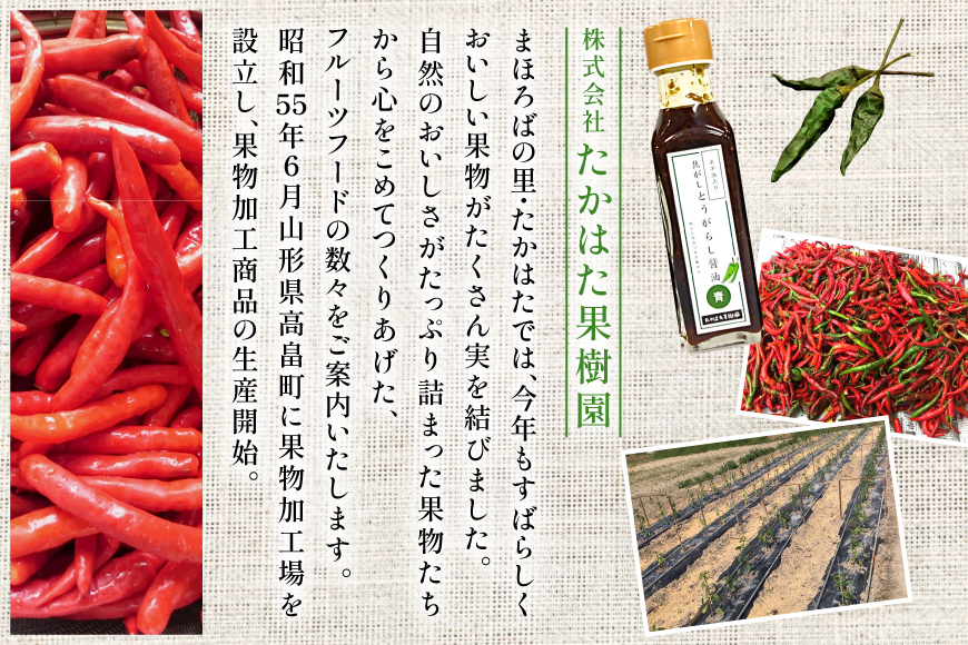 万能調味料 焦がしとうがらし醤油 青 5本 セット [たかはた果樹園 山形県 高畠町 tk06ays650017] 詰め合わせ とうがらし 唐辛子 醤油