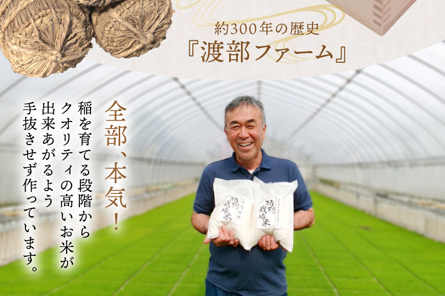 米 令和7年度産 特別栽培米 ミルキークイーン 5kg [渡部ファーム 山形県 高畠町 tk06ays810032] お米 白米 精米 ごはん ご飯 ブランド米