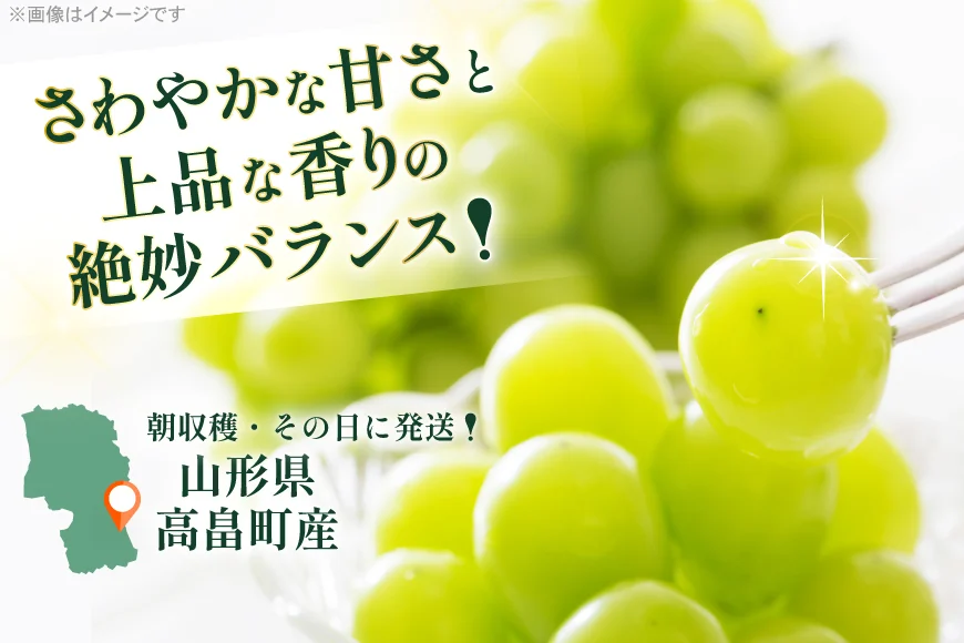 【期間限定発送】 シャインマスカット 3〜4房 満杯詰め 約2kg [本田農園 山形県 高畠町 tk06ays820002] ぶどう ブドウ 葡萄 マスカット 大粒 粒 つぶ ツブ 種なし 果物 くだもの フルーツ 2キロ 箱入り