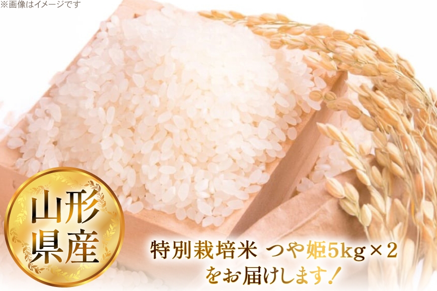 米 令和7年 特別栽培米 つや姫 5kg 2P 計 10kg [JA山形おきたま 山形県 高畠町 tk06ays870002] 5キロ 10キロ お米 ブランド米 ごはん ご飯 白米 精米 おこめ こめ つやひめ