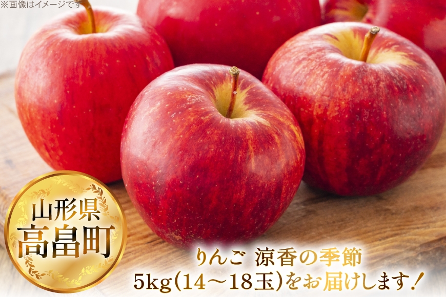 【期間限定発送】 りんご 高畠町産 涼香の季節 14～18玉 5kg [JA山形おきたま 山形県 高畠町 tk06ays870045] 果物 くだもの フルーツ 林檎 リンゴ 産地直送