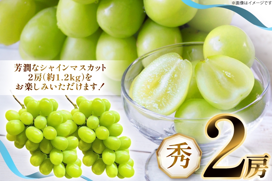 【期間限定発送】 シャインマスカット 秀 2房 約 1.2kg [もん前の里 山形県 高畠町 tk06ays960002] フルーツ 果物 くだもの ぶどう ブドウ 葡萄 1.2キロ 甘い