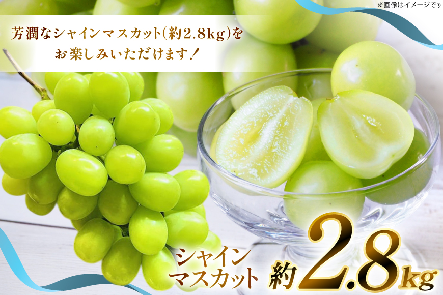 【期間限定発送】 シャインマスカット 約 2.8kg [もん前の里 山形県 高畠町 tk06ays960005] フルーツ 果物 くだもの ぶどう ブドウ 葡萄 2.8キロ 甘い