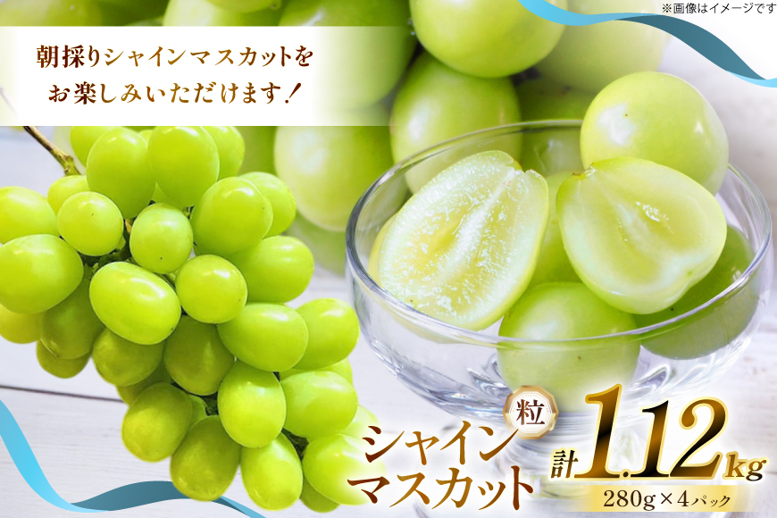 【期間限定発送】 シャインマスカット 粒 280g 4p 1.12kg 朝採れ [もん前の里 山形県 高畠町 tk06ays960007] フルーツ 果物 くだもの ぶどう ブドウ 葡萄 大粒 甘い
