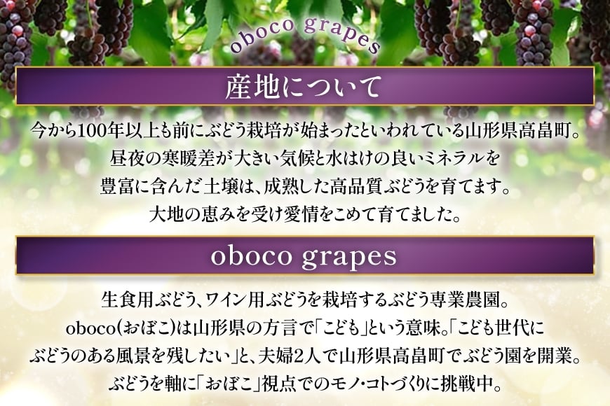 【期間限定発送】 ぶどう デラウェア 5～7房 約 1kg 朝採り [oboco grapes 山形県 高畠町 tk06ayt250000] 個包装 種無し ブドウ 葡萄 くだもの 果物 フルーツ 産地直送 農家直送