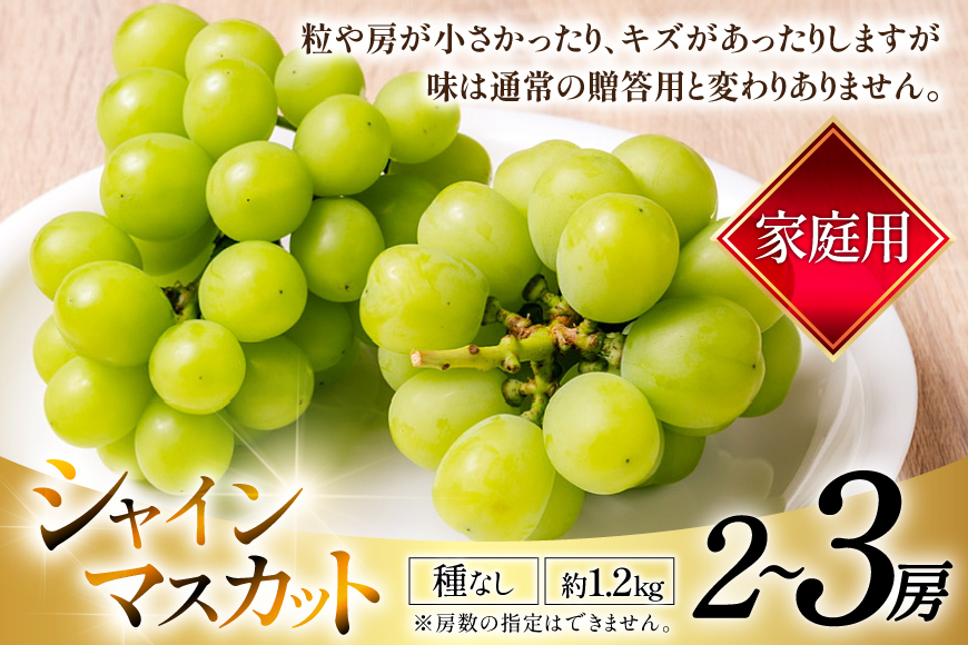 【期間限定発送】 家庭用 訳あり シャインマスカット 2～3房 約1.2kg [いわた果樹園 山形県 高畠町 tk06ayt400007] ぶどう ブドウ 葡萄 フルーツ 果物 くだもの 甘い シャイン マスカット