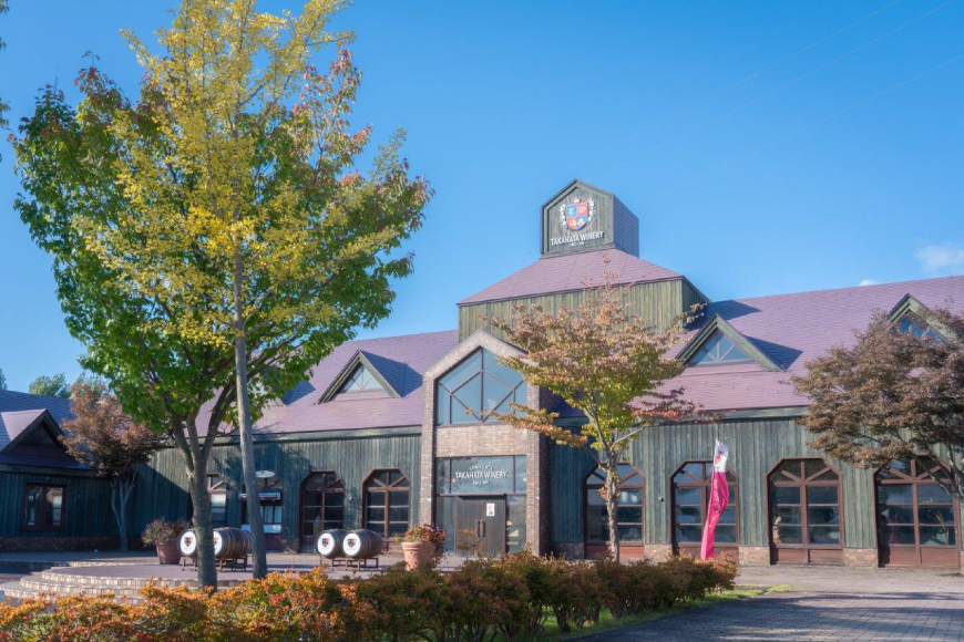 白 ワイン 高畠ワイナリー 辛口 ワイン 720ml 1本 [高畠ワイナリー 山形県 高畠町 tk06ays730112] 白ワイン デラウェア お酒 酒