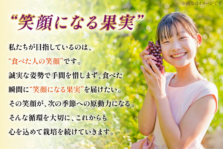 【期間限定発送】 デラウェア 秀品 5～8房 約 1kg [治右衛門果樹園 山形県 高畠町 tk06ays830010] ぶどう 種無し ブドウ 葡萄 くだもの 果物 フルーツ 産地直送 農家直送 期間限定 甘い