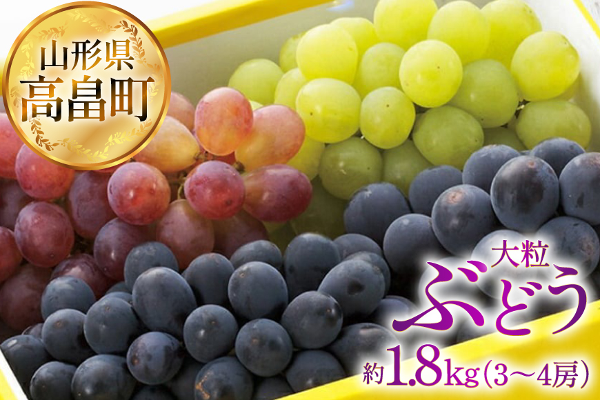 【期間限定発送】 ぶどう 2～3色 約 1.8kg 詰め合わせ セット [JA山形おきたま 山形県 高畠町 tk06ays870056] シャインマスカット 葡萄 セット ブドウ 巨峰 ピオーネ クイーンニーナ ゴルビー 高尾 蔵王おとめ 大粒 農家直送 朝採れ 食べ比べ 1.8キロ