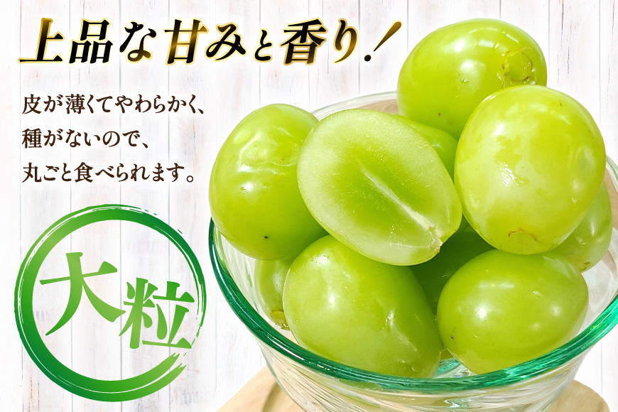 【期間限定発送】 シャインマスカット 秀 2房 1.2kg 以上 [もん前の里 山形県 高畠町 tk06ays960002] フルーツ 果物 くだもの ぶどう ブドウ 葡萄 1.2キロ 甘い