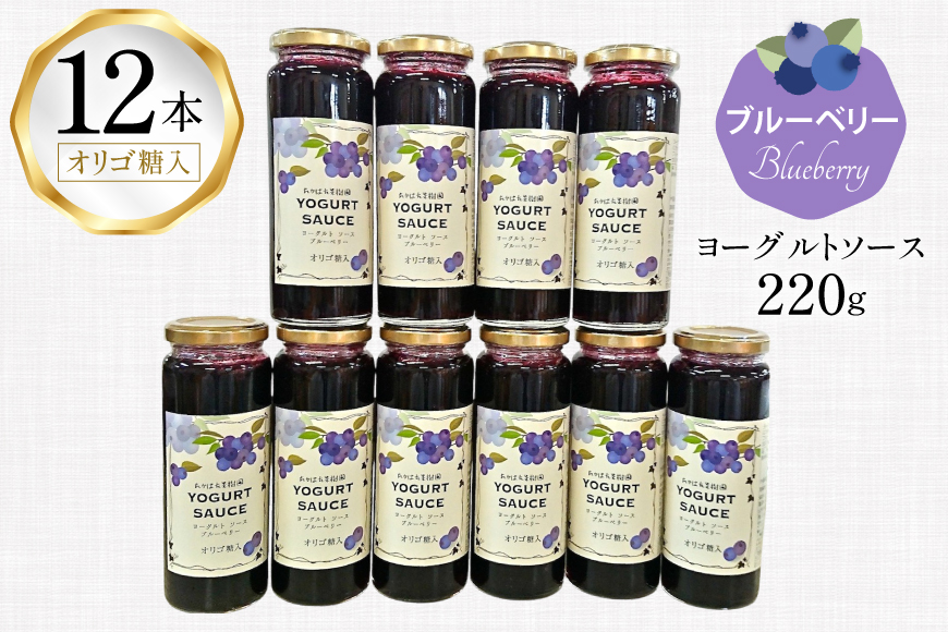 ヨーグルト ソース ブルーベリー 12本 セット [たかはた果樹園 山形県 高畠町 tk06ays650020] 詰め合わせ フルーツ ブルーベリー