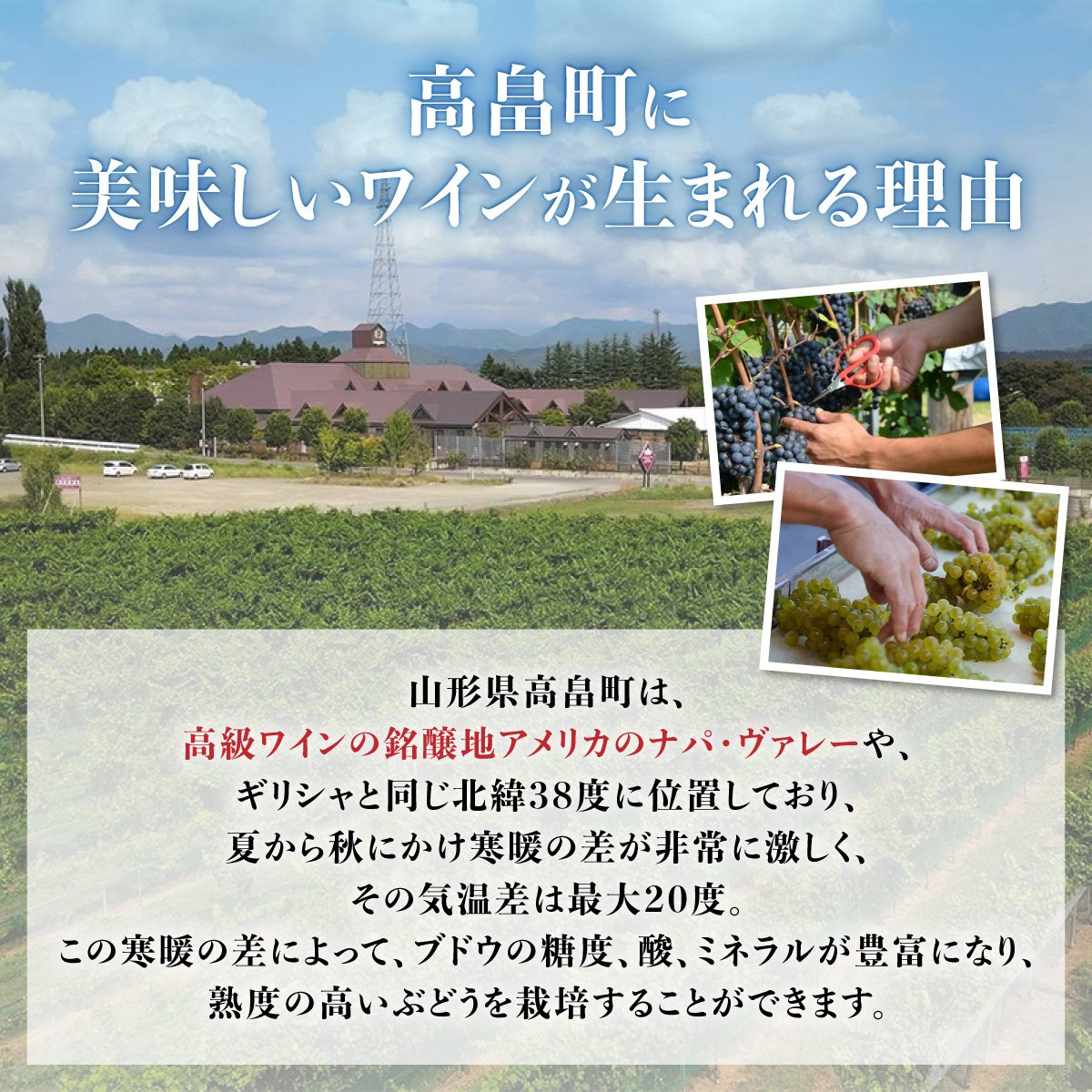 白ワイン 高畠クラシック シャルドネ ピノブラン 各720ml 計2本 セット [高畠ワイナリー 山形県 高畠町 tk06ays730023] 飲み比べ 白ワイン 酒 お酒 セット