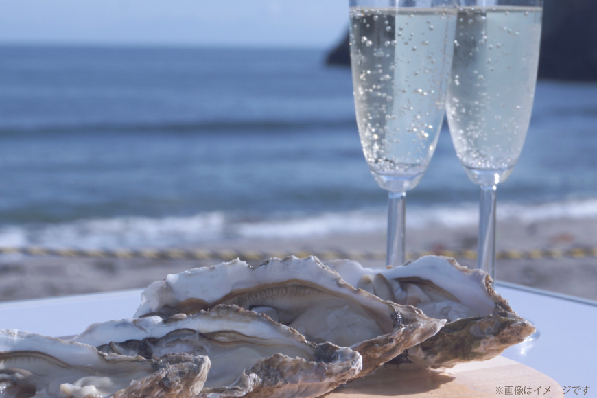 ワイン 白 嘉スパークリング スウィート オレンジマスカット 750ml 2本 セット [高畠ワイナリー 山形県 高畠町 tk06ays730052] 酒 お酒 スパークリング 辛口 白ワイン