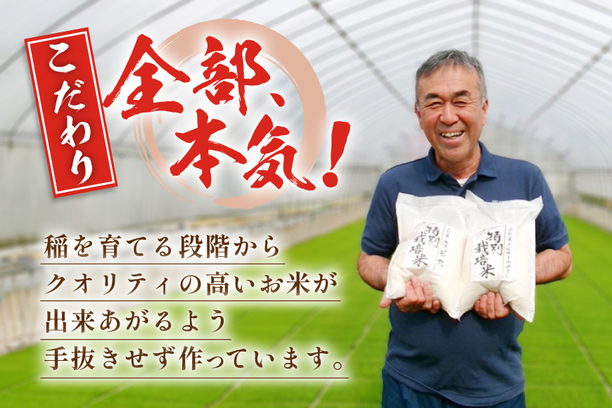 米 定期便 9回 令和8年産 特別栽培米 雪若丸 5kg 9回 計45kg [渡部ファーム 山形県 高畠町 tk06ays810053] お米 白米 精米 ごはん ご飯 ブランド米