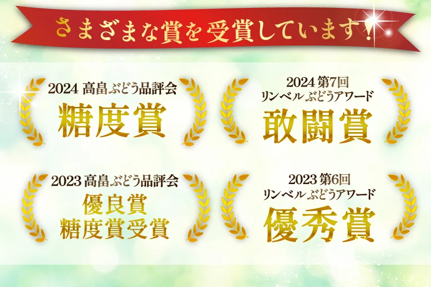 【期間限定発送】 シャインマスカット 3〜4房 満杯詰め 約2kg [本田農園 山形県 高畠町 tk06ays820002] ぶどう ブドウ 葡萄 マスカット 大粒 粒 つぶ ツブ 種なし 果物 くだもの フルーツ 2キロ 箱入り