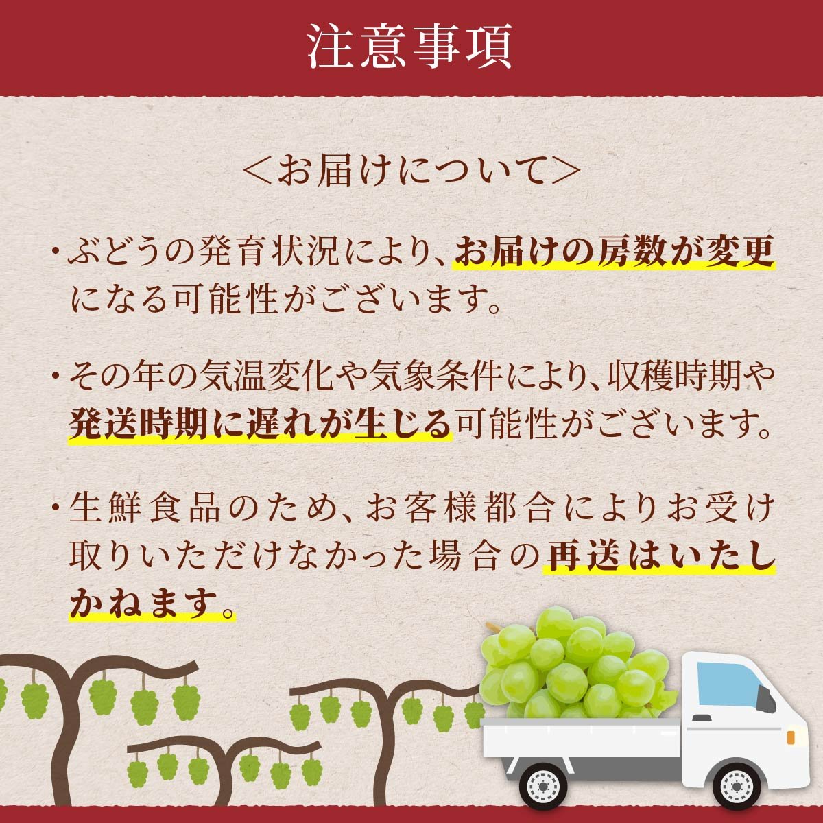 【期間限定発送】 シャインマスカット 2～3房 約1.5kg [治右衛門果樹園 山形県 高畠町 tk06ays830000] 箱詰め フルーツ 果物 くだもの ぶどう ブドウ 葡萄 1.5キロ 甘い