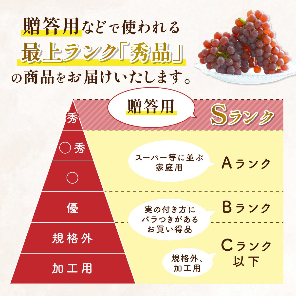 【期間限定発送】 ぶどう デラウェア 秀品 10～12房 約 2kg [治右衛門果樹園 山形県 高畠町 tk06ays830007] 種無し ブドウ 葡萄 くだもの 果物 フルーツ 産地直送 農家直送