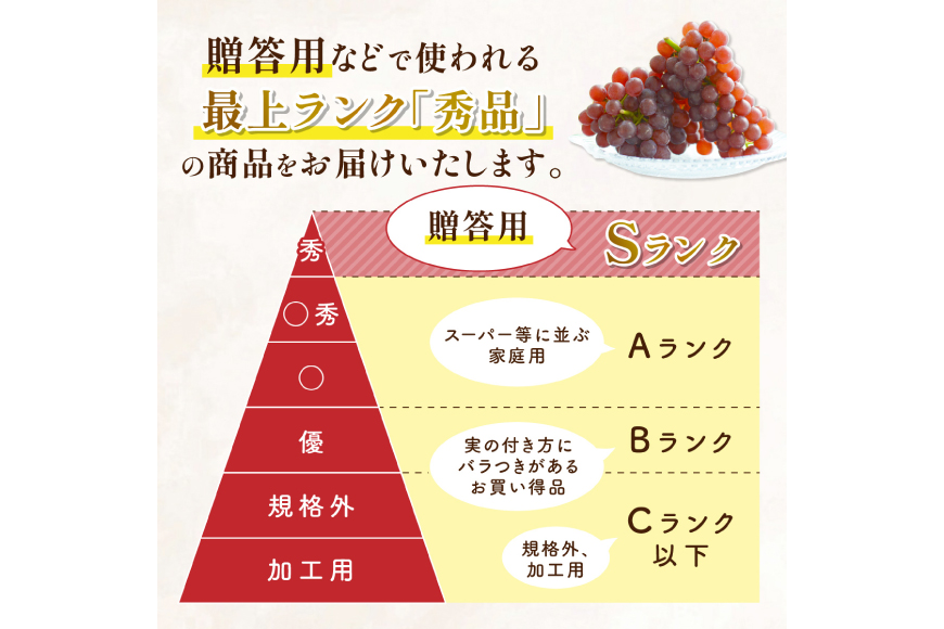 【期間限定発送】 デラウェア 秀品 5～8房 約 1kg [治右衛門果樹園 山形県 高畠町 tk06ays830010] ぶどう 種無し ブドウ 葡萄 くだもの 果物 フルーツ 産地直送 農家直送 期間限定 甘い