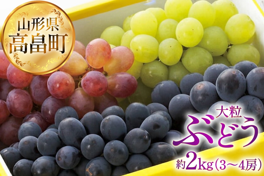 【期間限定発送】 ぶどう 2～3色 約 2kg 詰め合わせ セット [JA山形おきたま 山形県 高畠町 tk06ays870046] シャインマスカット 葡萄 セット ブドウ 巨峰 ピオーネ クイーンニーナ ゴルビー 高尾 蔵王おとめ 大粒 農家直送 朝採れ 食べ比べ 2キロ
