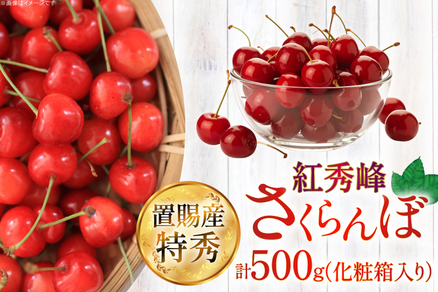 【期間限定発送】 さくらんぼ 置賜産 紅秀峰 特秀 2L～3L 500g 化粧箱入り [JA山形おきたま 山形県 高畠町 tk06ays870049] サクランボ チェリー 山形 果物 フルーツ くだもの
