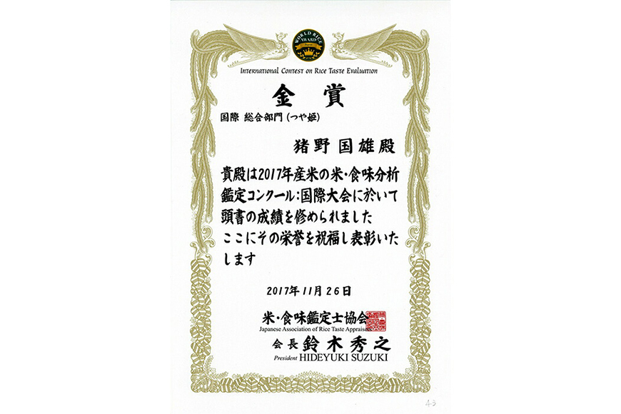 米 令和7年産 コシヒカリ 5kg 有機JAS 玄米 [農家の蔵出し米生産組合 山形県 高畠町 tk06ays900015] コメ ご飯 ごはん お米 ブランド米