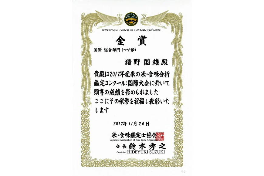 米 令和7年産 こしひかり 天日乾燥「和」 5kg 特別栽培米 玄米 [農家の蔵出し米生産組合 山形県 高畠町 tk06ays900027] コメ ご飯 ごはん お米 ブランド米