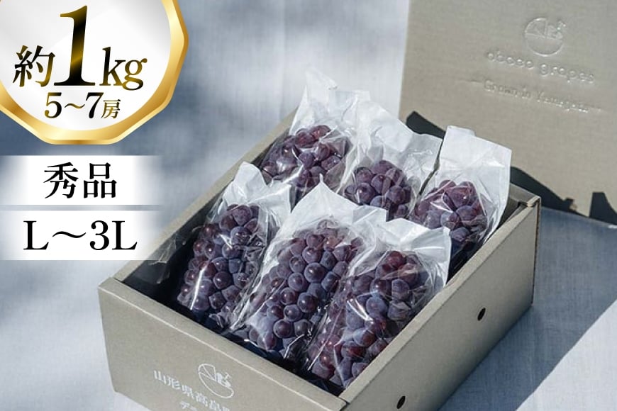 【期間限定発送】 ぶどう デラウェア 5～7房 約 1kg 朝採り [oboco grapes 山形県 高畠町 tk06ayt250000] 個包装 種無し ブドウ 葡萄 くだもの 果物 フルーツ 産地直送 農家直送