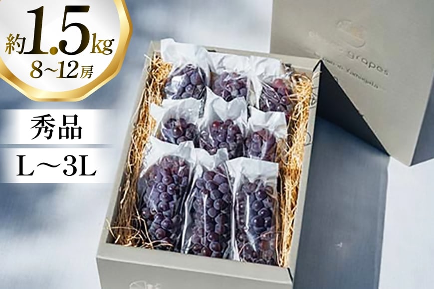 【期間限定発送】 ぶどう デラウェア 8～12房 約 1.5kg 朝採り [oboco grapes 山形県 高畠町 tk06ayt250002] 個包装 種無し ブドウ 葡萄 くだもの 果物 フルーツ 産地直送 農家直送