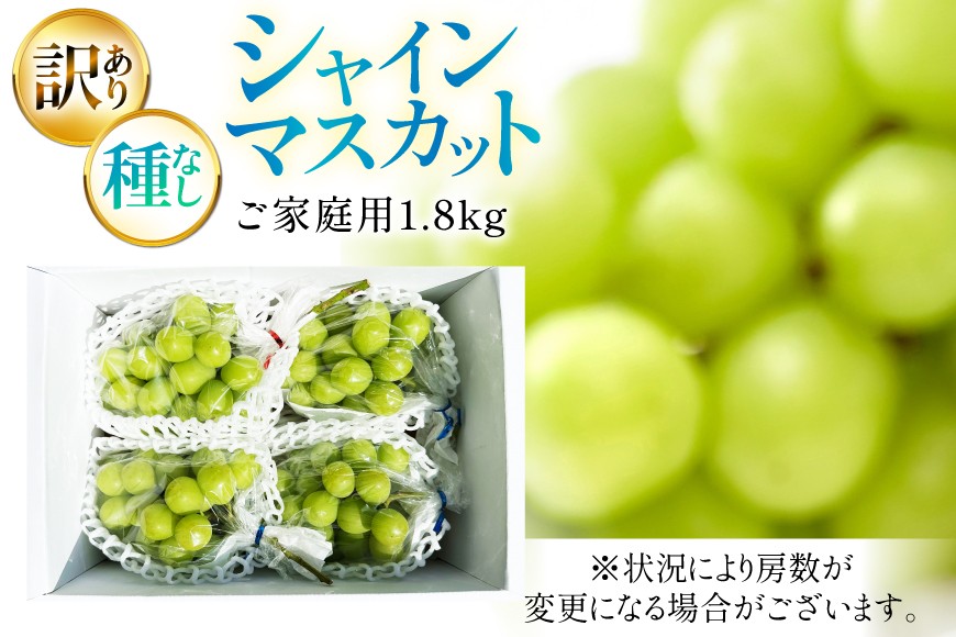 【期間限定発送】 シャインマスカット 訳あり 3〜4房 1.8kg [Yamagenフルーツガーデンレコルト 山形県 高畠町 tk06ayt380004] ご家庭用 ぶどう ブドウ 葡萄 フルーツ 果物 くだもの 1.8キロ 甘い