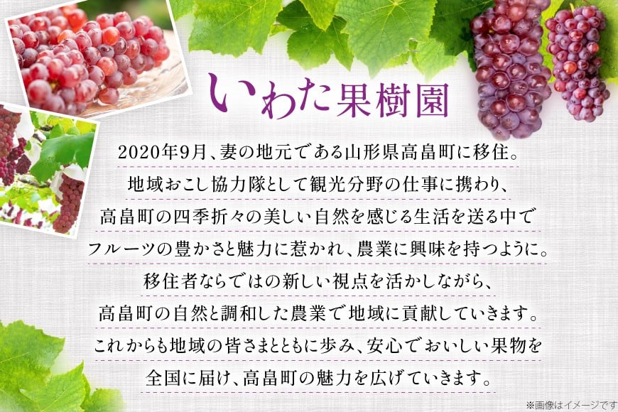 【期間限定発送】 ぶどう デラウェア 5～8房 約 1kg [いわた果樹園 山形県 高畠町 tk06ayt400003] 種無し ブドウ 葡萄 くだもの 果物 フルーツ 産地直送 農家直送