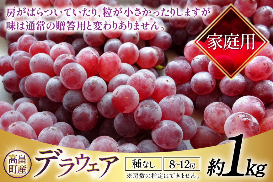 【期間限定発送】 家庭用 訳あり デラウェア 8～12房 約1kg [いわた果樹園 山形県 高畠町 tk06ayt400006] ぶどう 種無し ブドウ 葡萄 くだもの 果物 フルーツ 産地直送 農家直送 期間限定