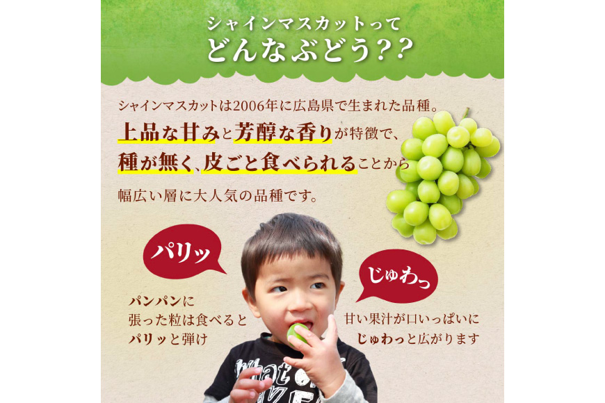 【期間限定発送】 家庭用 訳あり シャインマスカット 2～3房 約1.2kg [いわた果樹園 山形県 高畠町 tk06ayt400007] ぶどう ブドウ 葡萄 フルーツ 果物 くだもの 甘い シャイン マスカット