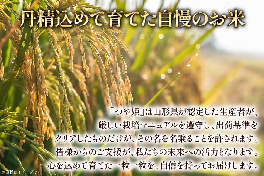 米 令和7年産 特別栽培米 つや姫 10kg (5kg×2) [本田勇仁 山形県 高畠町 tk06bgj910005] お米 白米 精米 ごはん ご飯 ブランド米