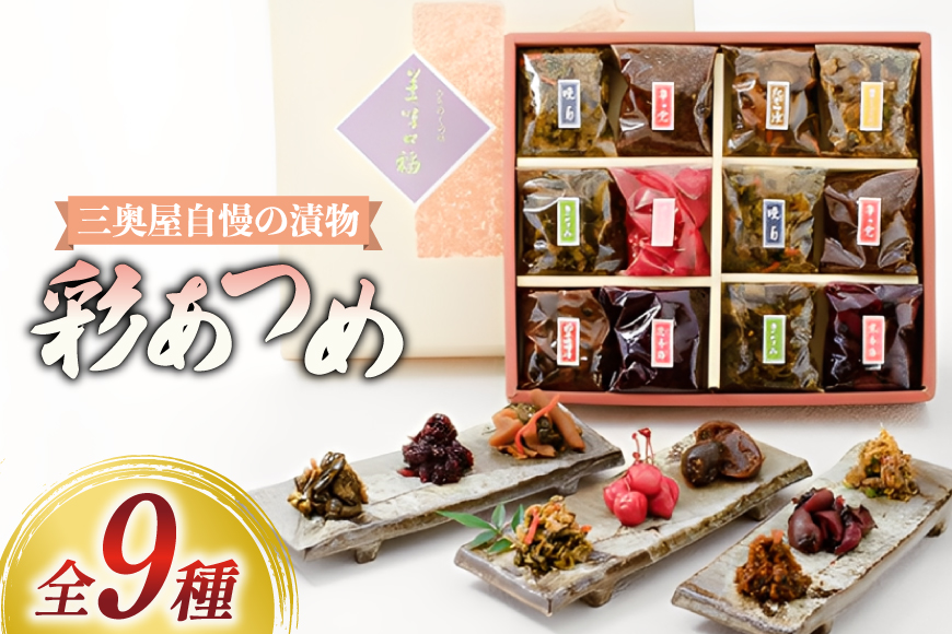 漬物 詰め合わせ 9種 セット 彩あつめ [三奥屋 山形県 高畠町 tk06ays620001] 漬け物 つけもの ご飯のお供