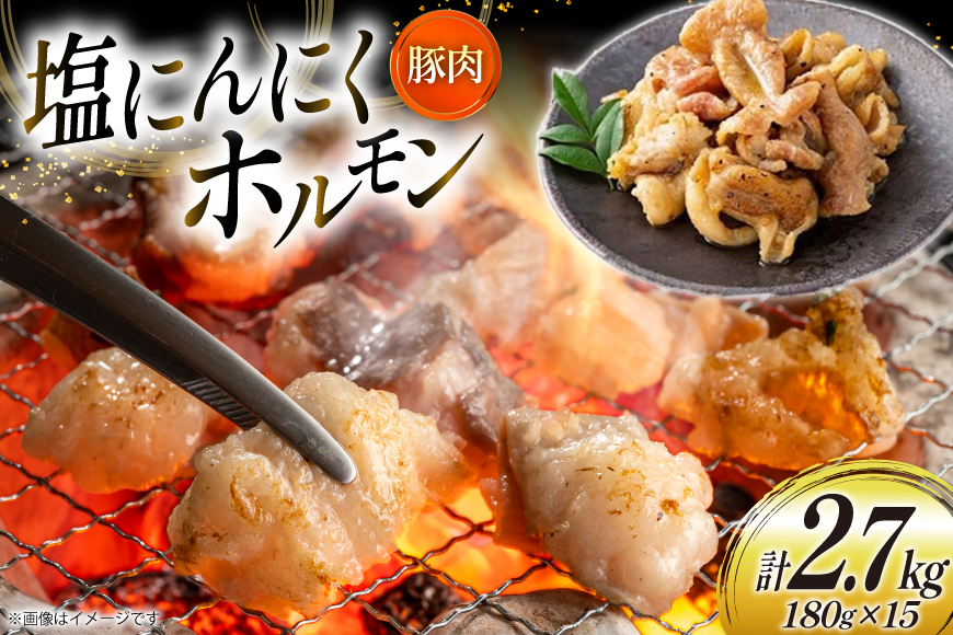 豚肉 ホルモン 塩にんにくホルモン 180g 15p 計2.7kg [りんご苑 山形県 高畠町 tk06ays660024] 焼肉 やきにく 国産 豚 味付き にんにく ニンニク 小分け 簡単 手軽 調理 おかず 冷凍