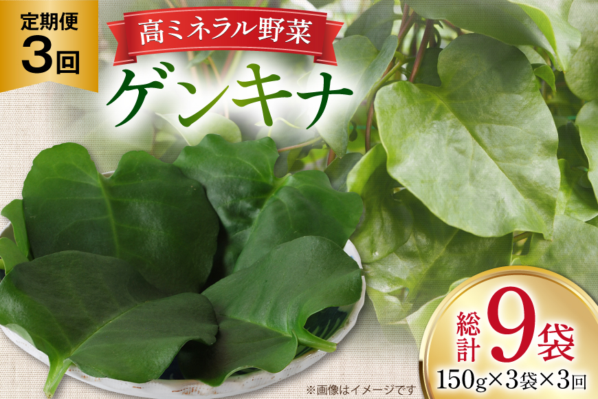 ゲンキナ 150g 3p 3回 定期便 総計9P [よねおりかんこうセンター 山形県 高畠町 tk06ays760009] 野菜 やさい 腸活 オカワカメ