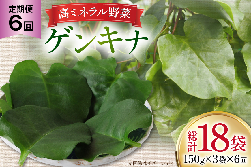 ゲンキナ 150g 18p [よねおりかんこうセンター 山形県 高畠町 tk06ays760011] 野菜 やさい 腸活 オカワカメ