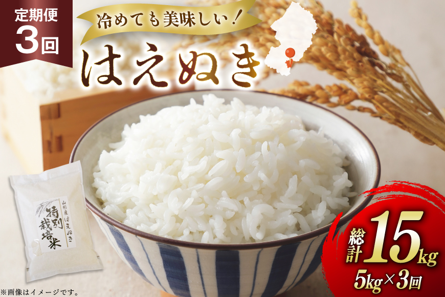 米 定期便 3回 令和7年 はえぬき 5kg 3回 計15kg [渡部ファーム 山形県 高畠町 tk06ays810041] お米 白米 精米 ごはん ご飯 ブランド米