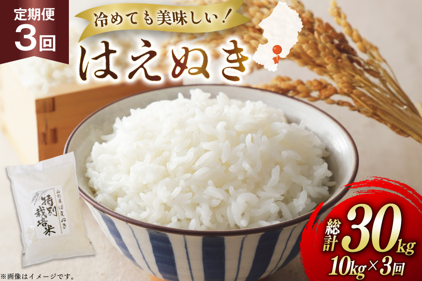 米 定期便 3回 令和7年 はえぬき 10kg 3回 計30kg [渡部ファーム 山形県 高畠町 tk06ays810043] お米 白米 精米 ごはん ご飯 ブランド米