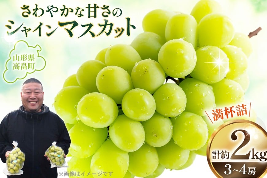 【期間限定発送】 シャインマスカット 3〜4房 満杯詰め 約2kg [本田農園 山形県 高畠町 tk06ays820002] ぶどう ブドウ 葡萄 マスカット 大粒 粒 つぶ ツブ 種なし 果物 くだもの フルーツ 2キロ 箱入り