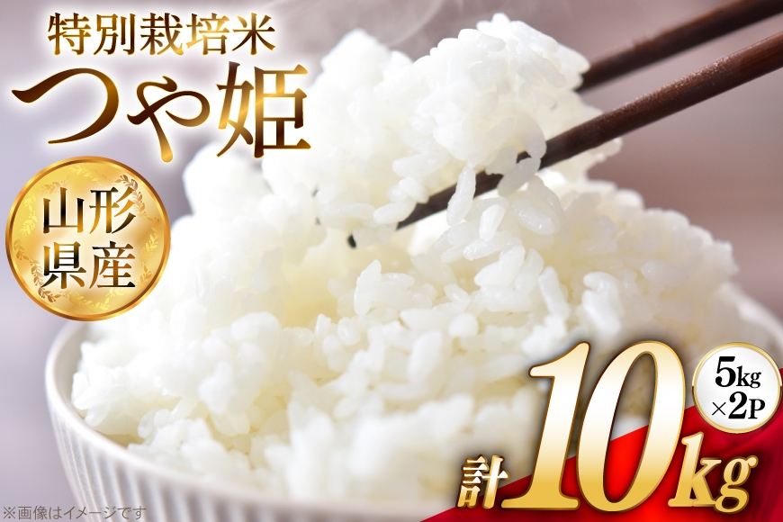 米 令和7年 特別栽培米 つや姫 5kg 2P 計 10kg [JA山形おきたま 山形県 高畠町 tk06ays870002] 5キロ 10キロ お米 ブランド米 ごはん ご飯 白米 精米 おこめ こめ つやひめ